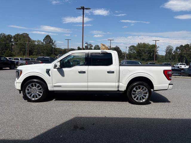 Certified 2021 Ford F150 Limited AWD/4WD image 6