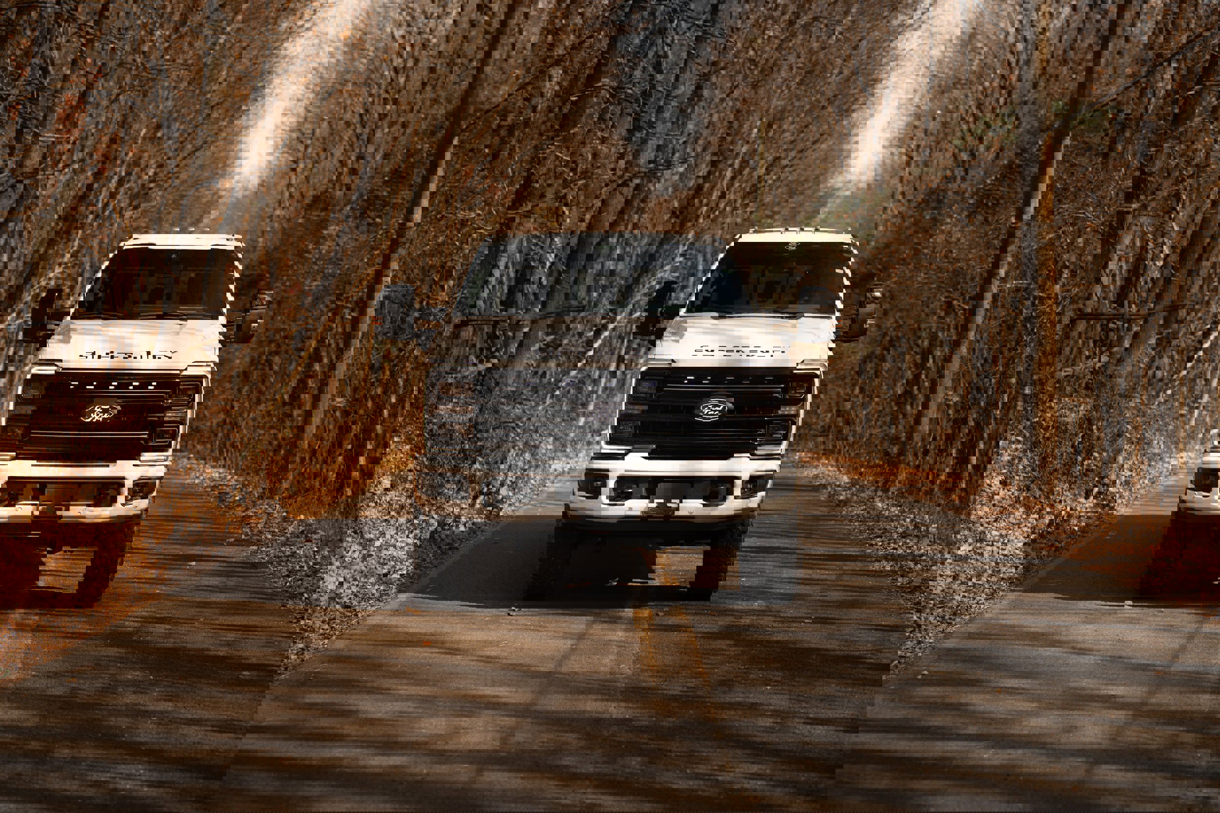 Certified 2025 Ford F250 Platinum w/ Tremor Off-Road Package image 3