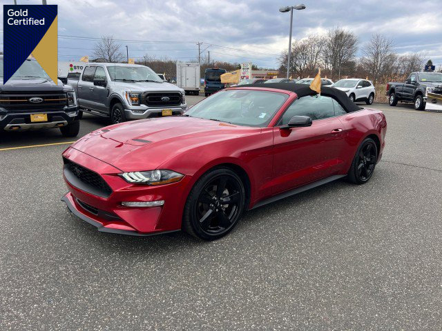 Certified 2023 Ford Mustang Premium w/ Equipment Group 201A