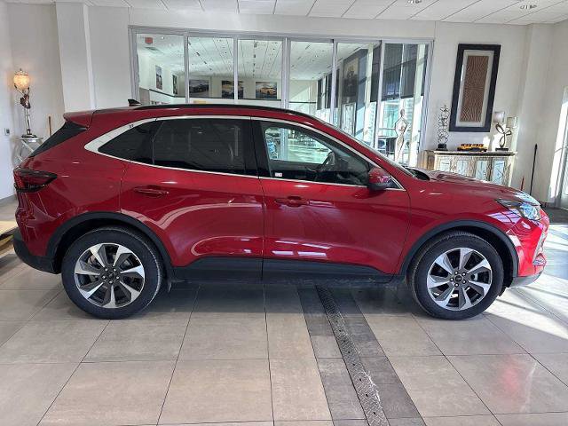 Certified 2024 Ford Escape Platinum image 6