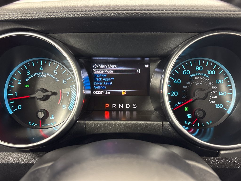 Certified 2019 Ford Mustang Premium RWD image 21