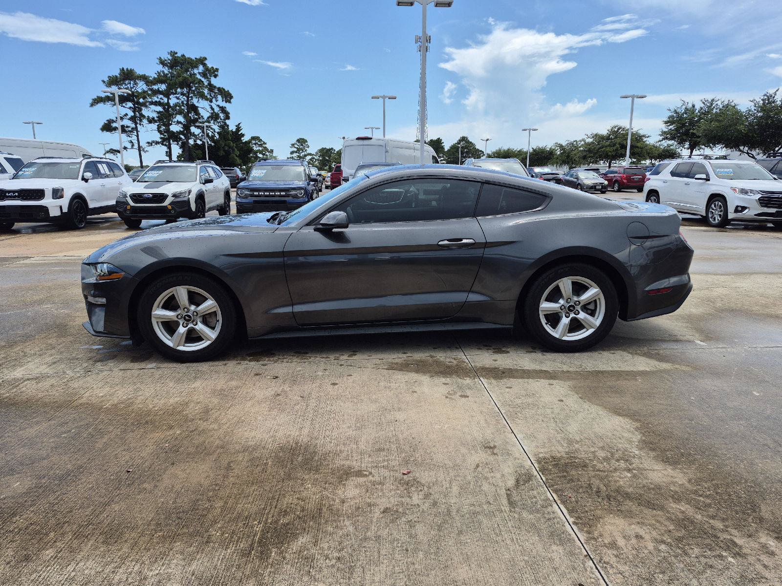 Certified 2019 Ford Mustang Coupe RWD image 9