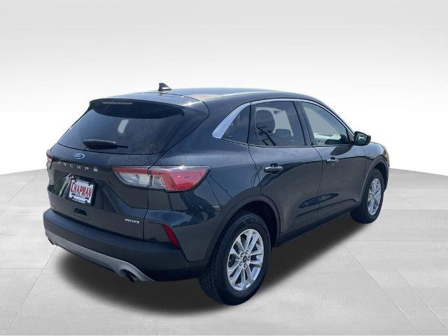 Certified 2022 Ford Escape SE w/ Convenience Package AWD/4WD image 11