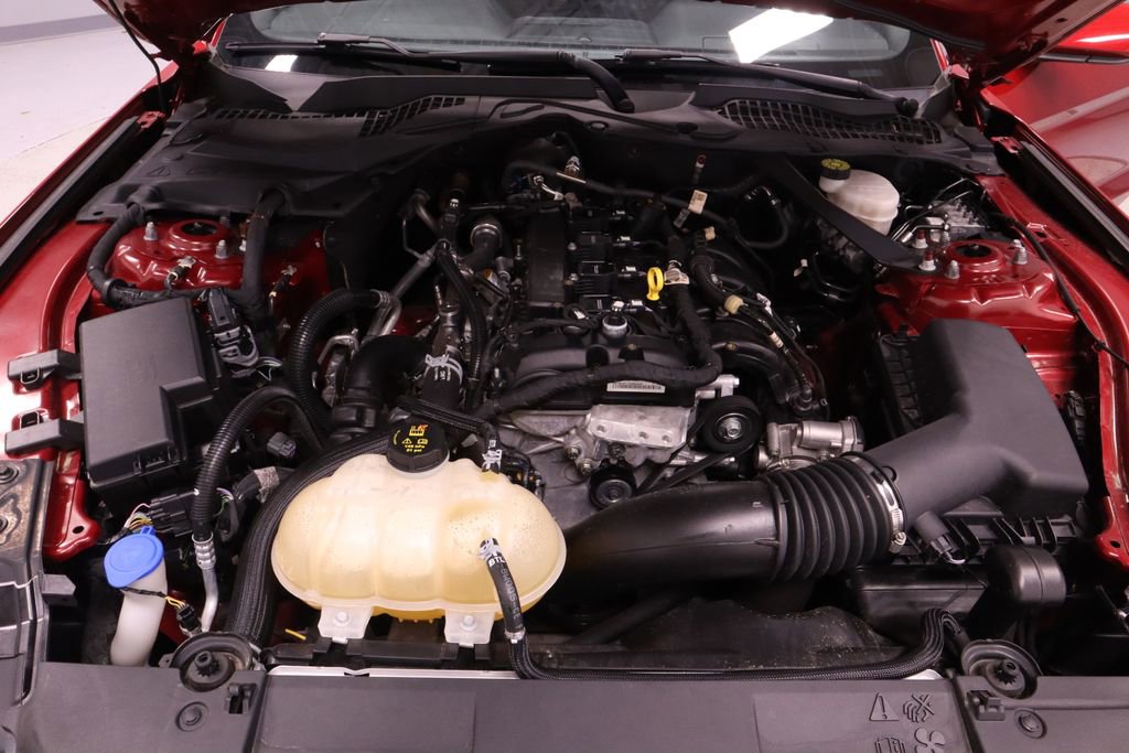 Certified 2021 Ford Mustang Convertible RWD image 13