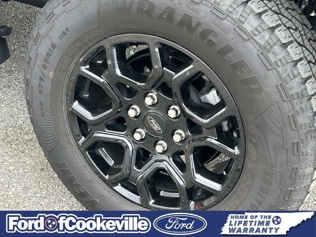 Certified 2025 Ford F150 XLT w/ Equipment Group 302A MID image 12