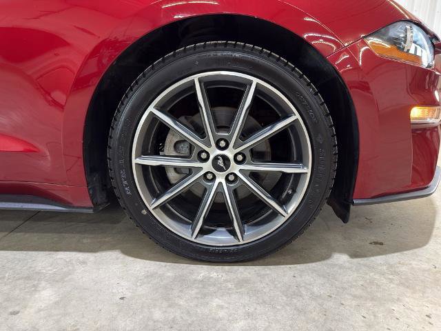 Certified 2018 Ford Mustang ECOBOOST w/ Equipment Group 101A image 12