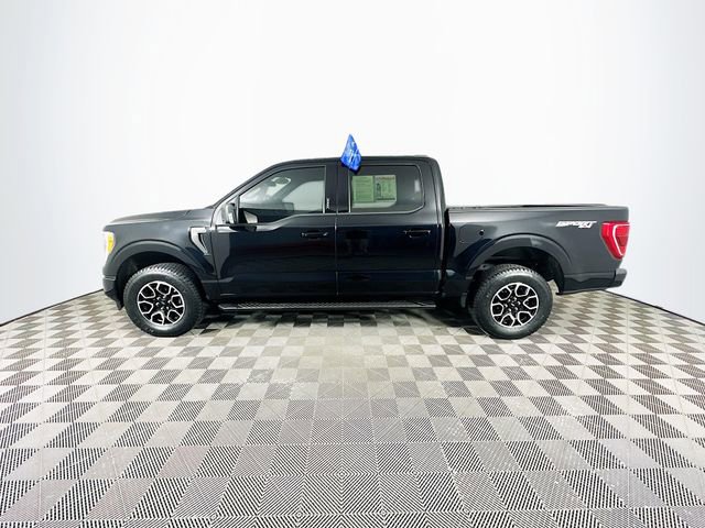 Certified 2023 Ford F150 XLT w/ Equipment Group 302A High AWD/4WD image 8
