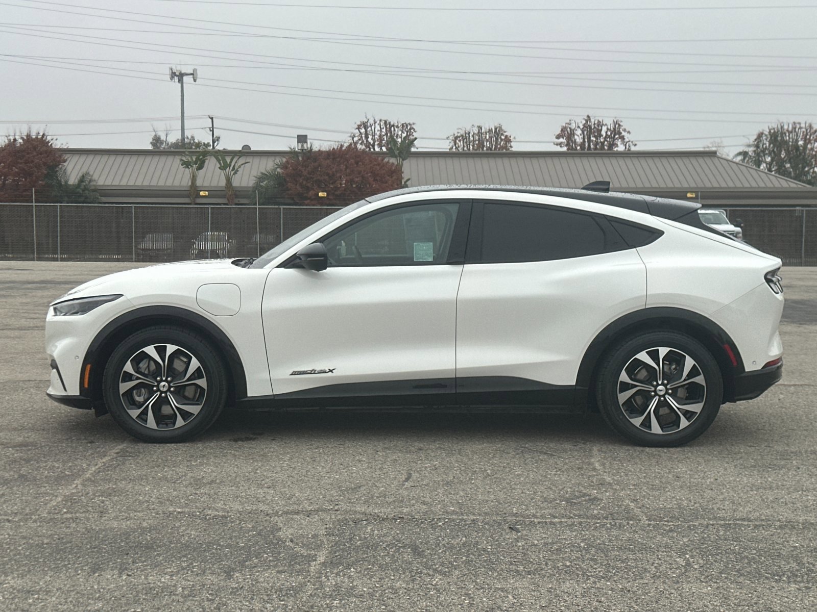Certified 2022 Ford Mustang Mach-E Premium image 8