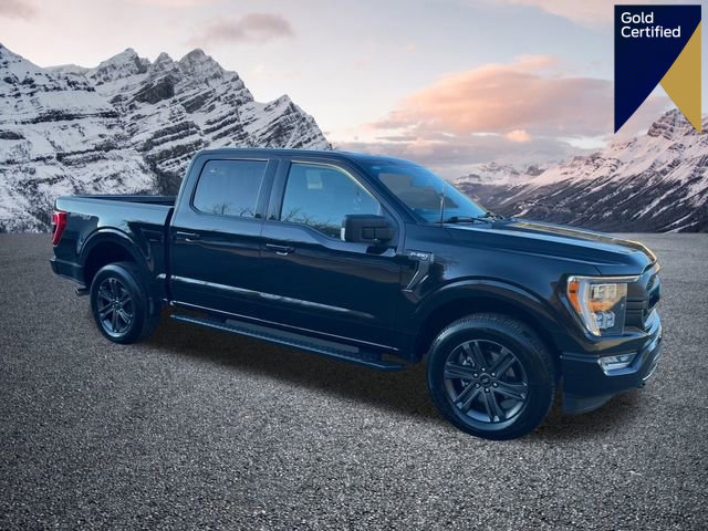 Certified 2023 Ford F150 XLT w/ Equipment Group 302A High image 1