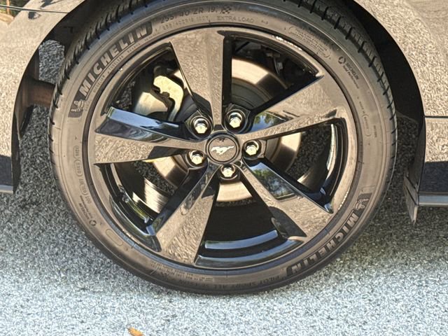 Certified 2023 Ford Mustang Premium w/ Equipment Group 201A RWD image 9