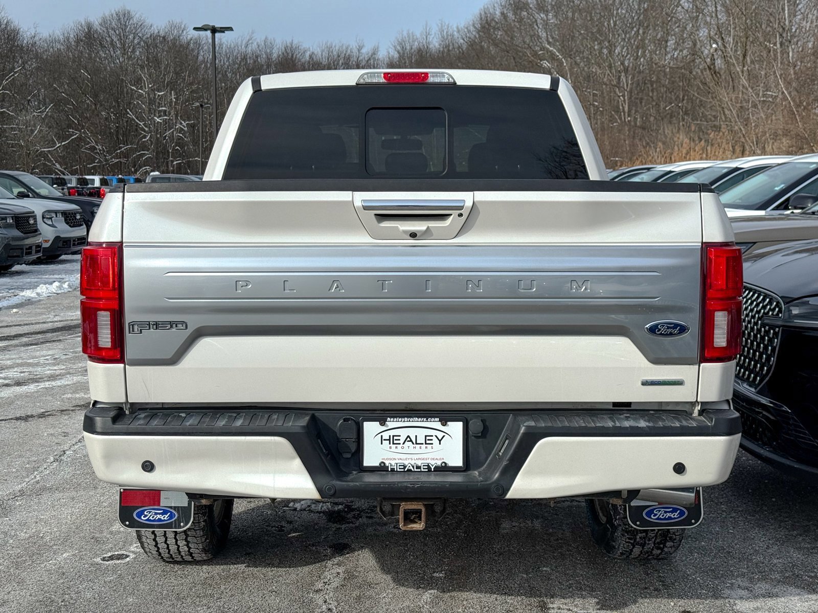 Certified 2019 Ford F150 Platinum w/ Equipment Group 701A Luxury image 3