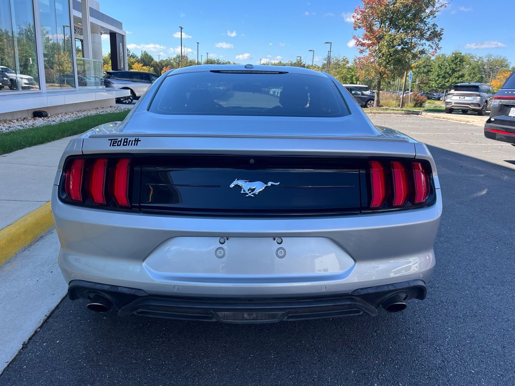 Certified 2019 Ford Mustang Coupe w/ Equipment Group 101A RWD image 8