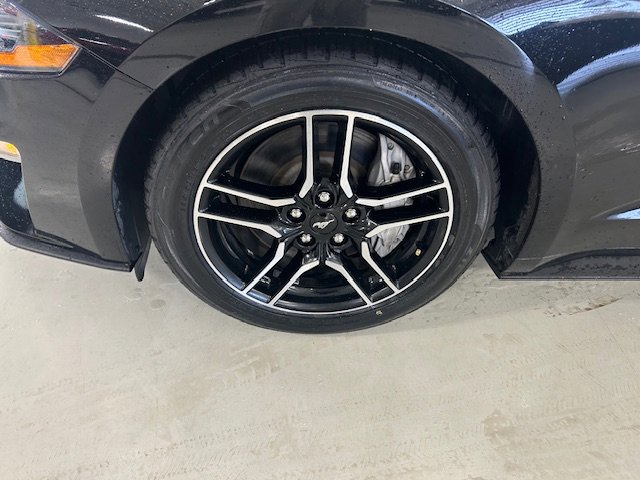 Certified 2022 Ford Mustang GT Premium RWD image 6