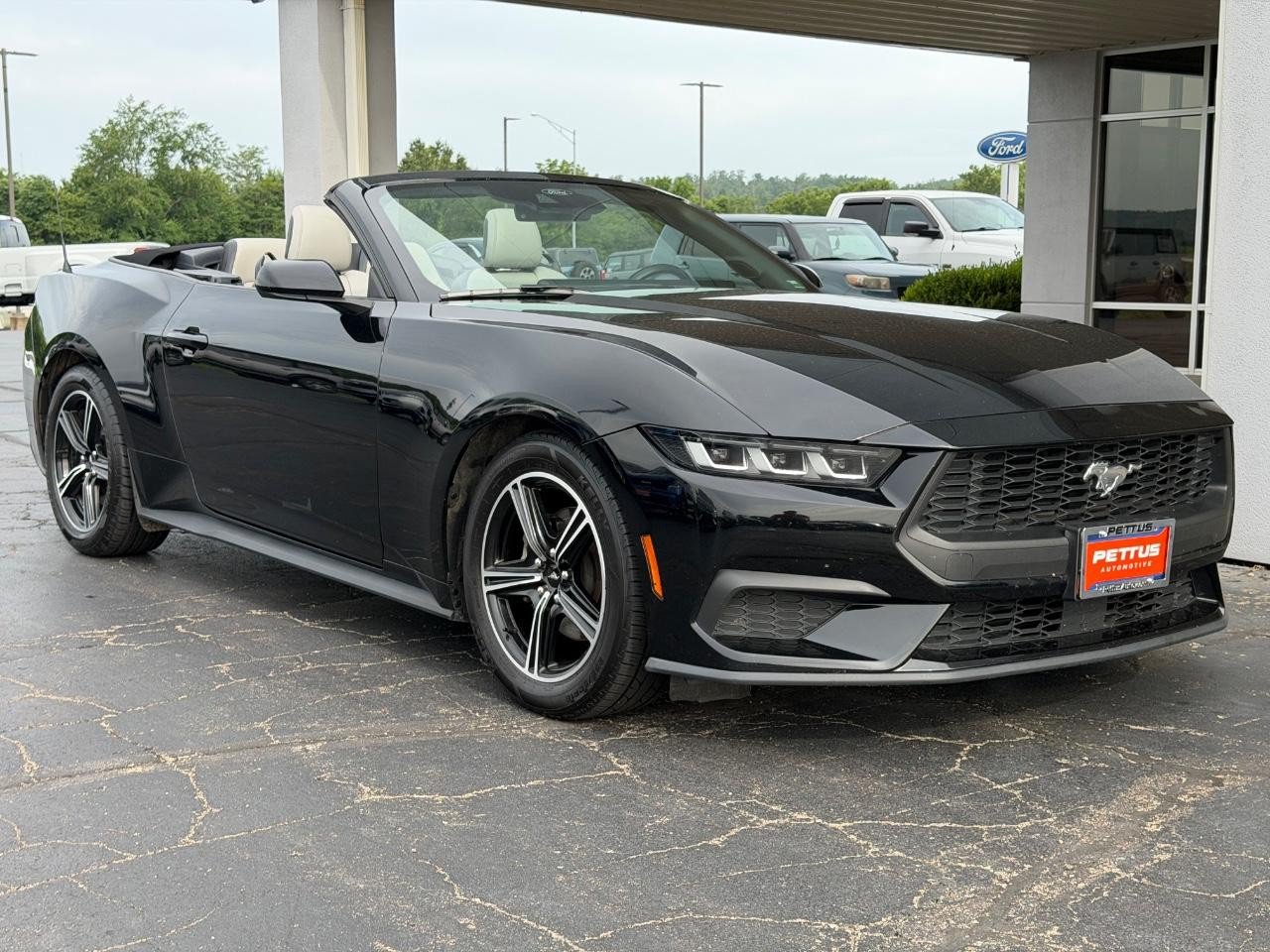 Certified 2024 Ford Mustang Premium RWD image 11