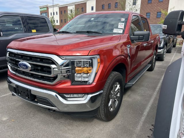 Certified 2023 Ford F150 XLT w/ Equipment Group 302A High AWD/4WD image 1