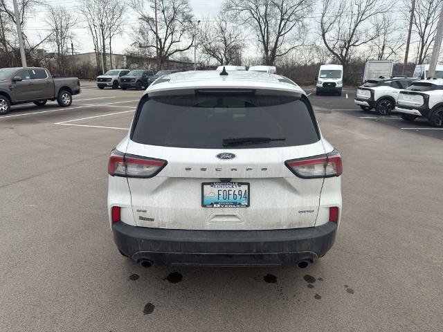 Certified 2022 Ford Escape SE w/ SE Sport Appearance Package image 4