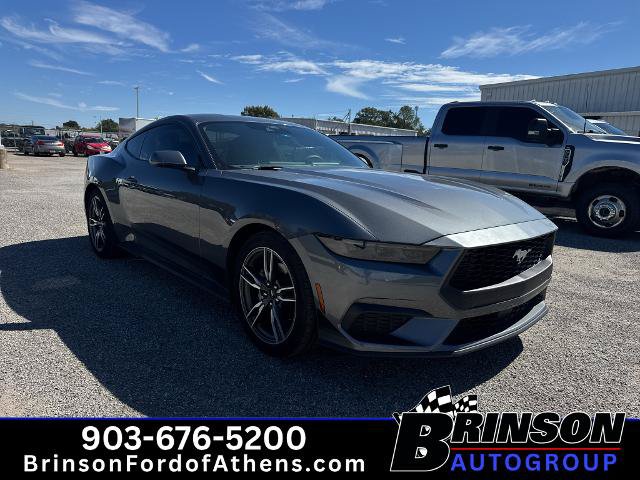 Certified 2025 Ford Mustang Coupe w/ Wheel & Stripe Package RWD image 3