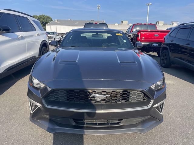 Certified 2019 Ford Mustang Premium w/ Ecoboost Performance Package RWD image 2