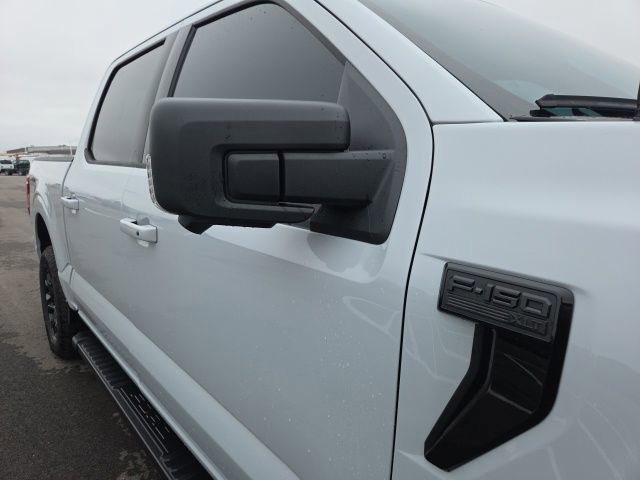 Certified 2025 Ford F150 XLT w/ Equipment Group 302A MID AWD/4WD image 5