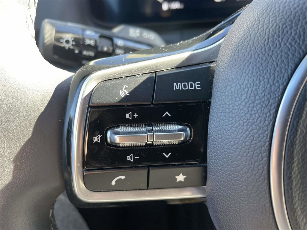 Used 2024 Kia Carnival SX Prestige image 28