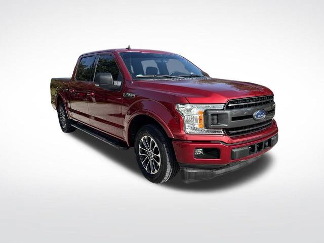 Certified 2019 Ford F150 XLT w/ Equipment Group 302A Luxury RWD image 2