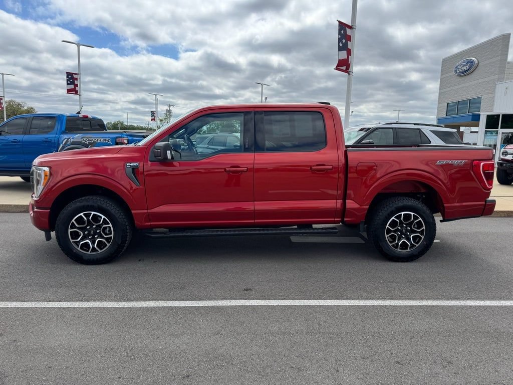 Certified 2023 Ford F150 XLT w/ Equipment Group 302A High AWD/4WD image 6