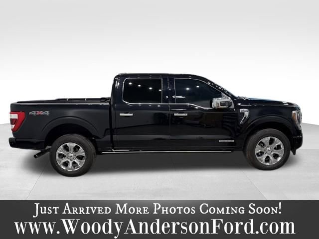 Certified 2023 Ford F150 Platinum w/ Equipment Group 701A High AWD/4WD image 4