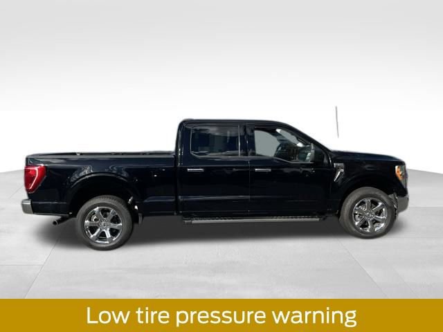 Certified 2022 Ford F150 XLT w/ Equipment Group 301A Mid image 6