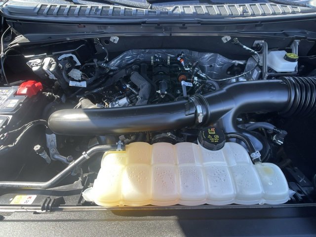 Certified 2025 Ford Expedition Active image 12