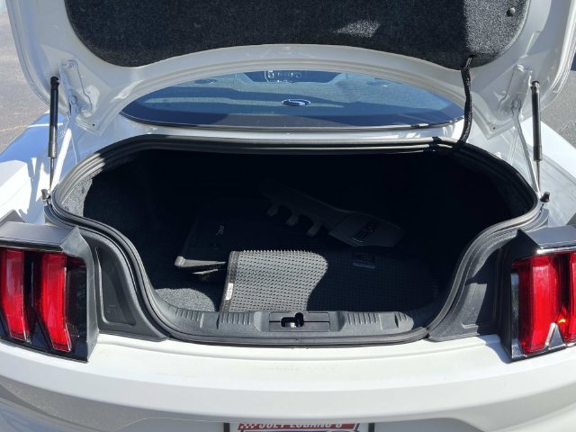 Certified 2019 Ford Mustang GT w/ GT Performance Package RWD image 29