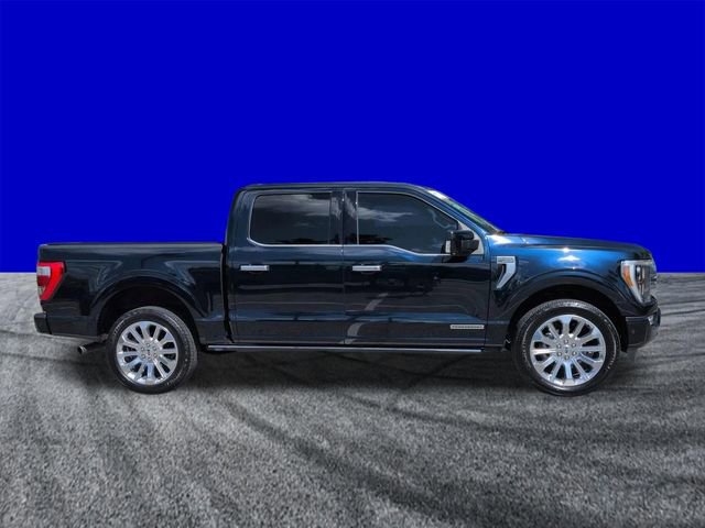 Certified 2023 Ford F150 Limited AWD/4WD image 6