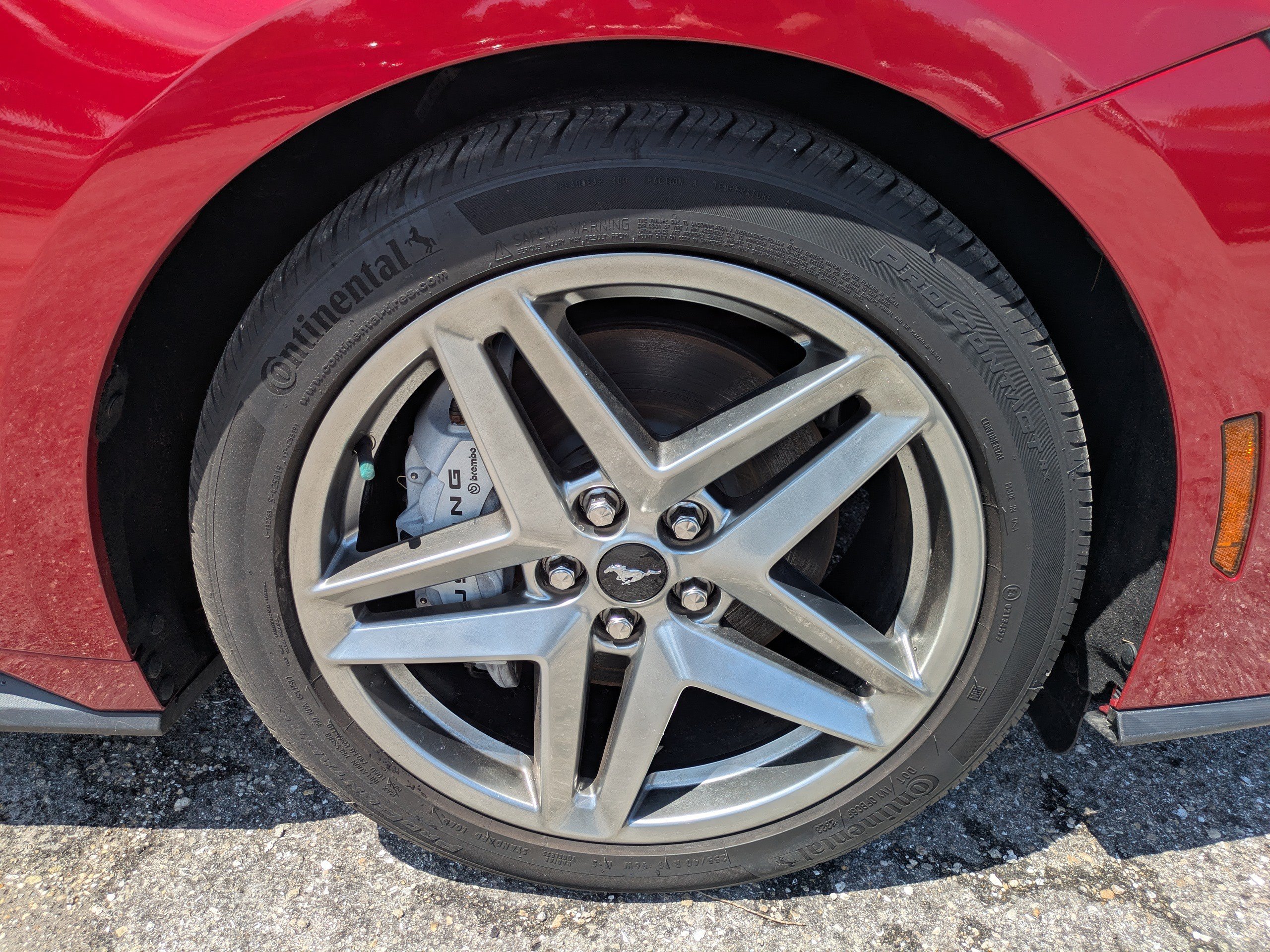 Certified 2024 Ford Mustang GT Premium RWD image 11