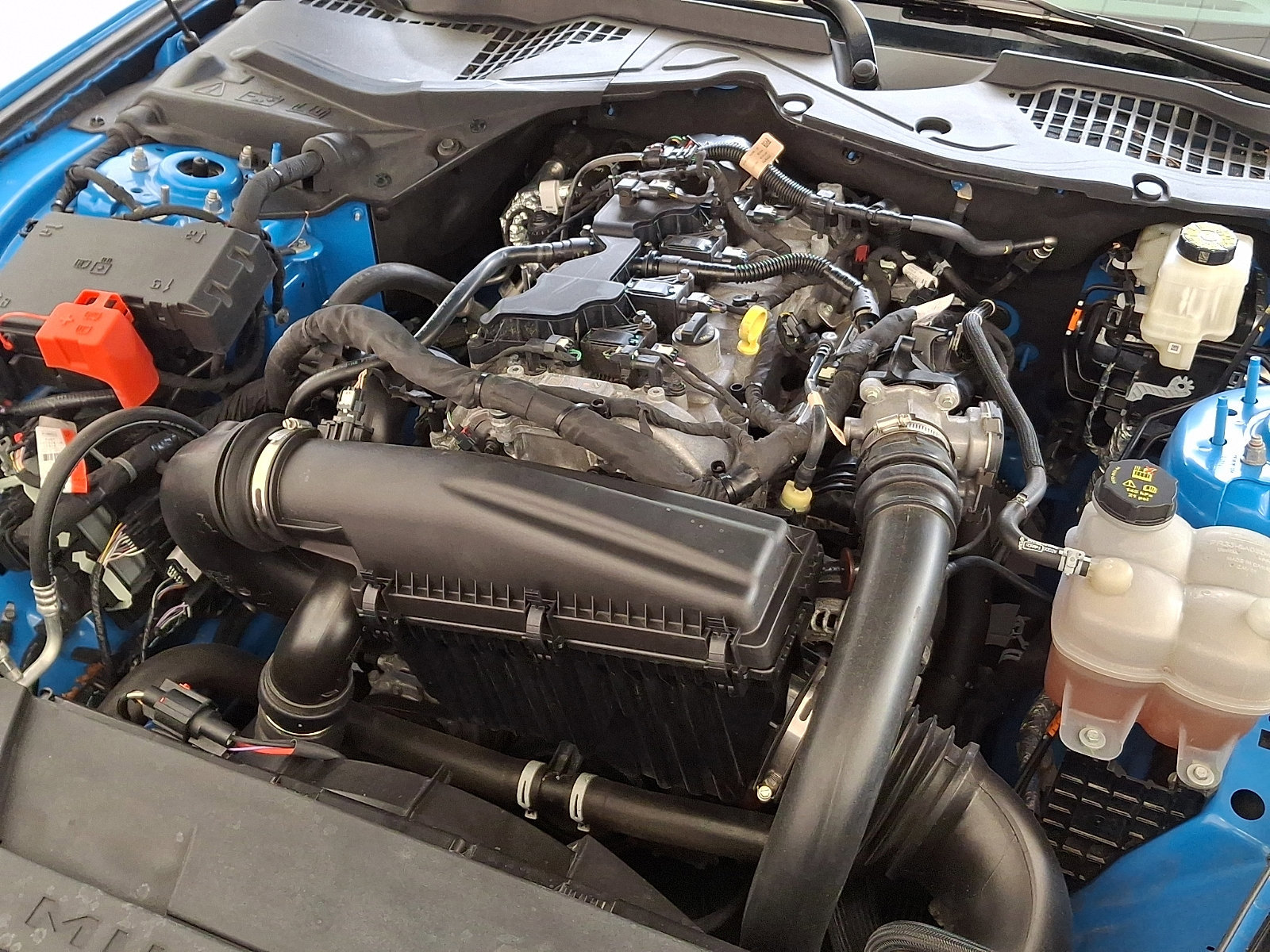 Certified 2024 Ford Mustang EcoBoost Fastback w/ Mustang Nite Pony Package image 27