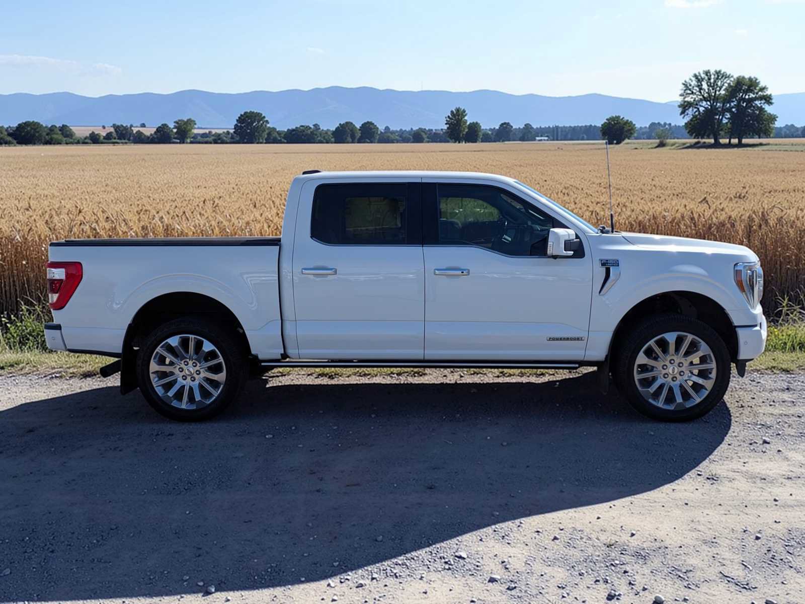 Certified 2021 Ford F150 Limited image 7