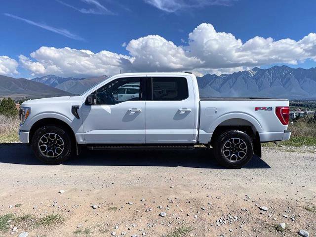 Certified 2023 Ford F150 XLT w/ Equipment Group 302A High AWD/4WD image 3