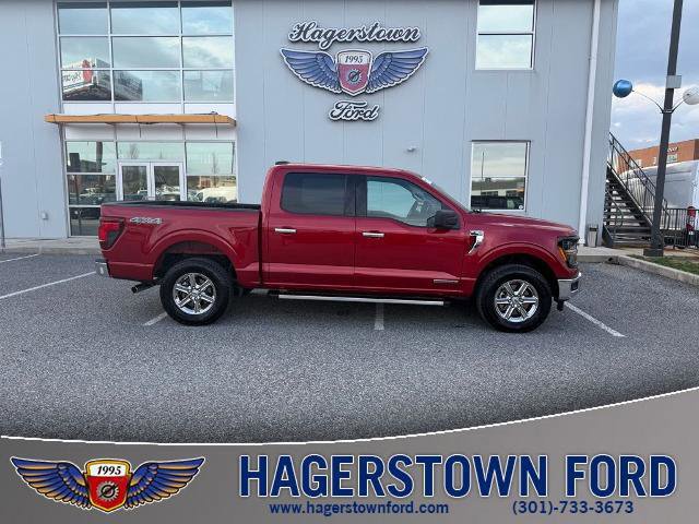 Certified 2025 Ford F150 XLT w/ Equipment Group 301A Standard image 6