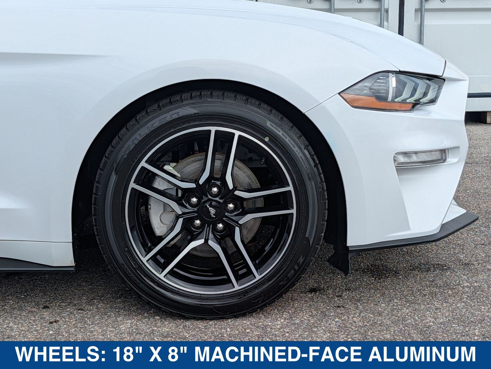 Certified 2023 Ford Mustang Premium RWD image 12