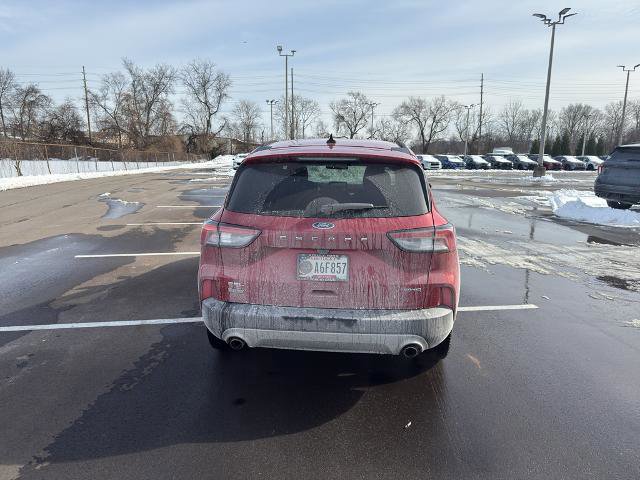 Certified 2022 Ford Escape SEL image 4