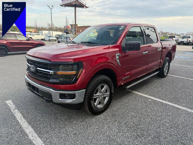 Certified 2025 Ford F150 XLT w/ Equipment Group 301A Standard image 1