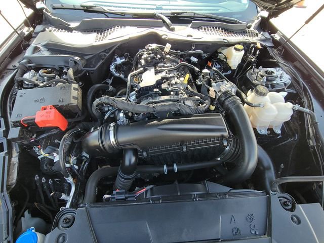 Certified 2024 Ford Mustang Coupe RWD image 13