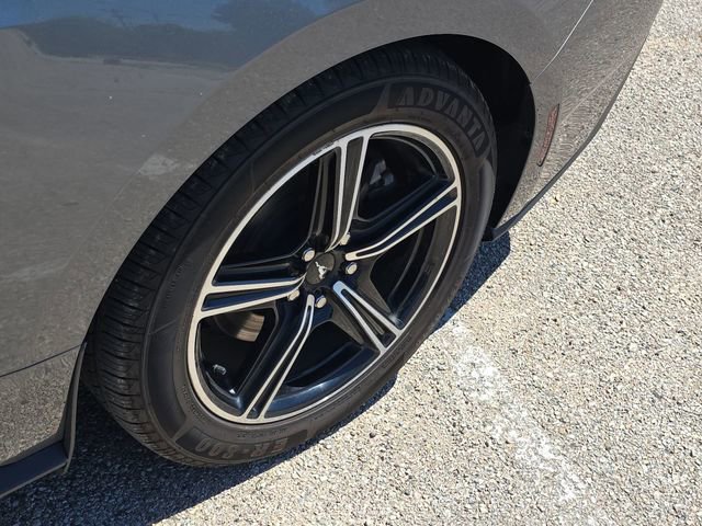 Certified 2024 Ford Mustang Premium RWD image 10