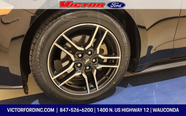 Certified 2020 Ford Mustang Premium image 7