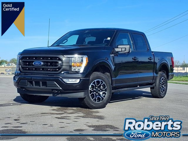 Certified 2023 Ford F150 XLT w/ Equipment Group 302A High