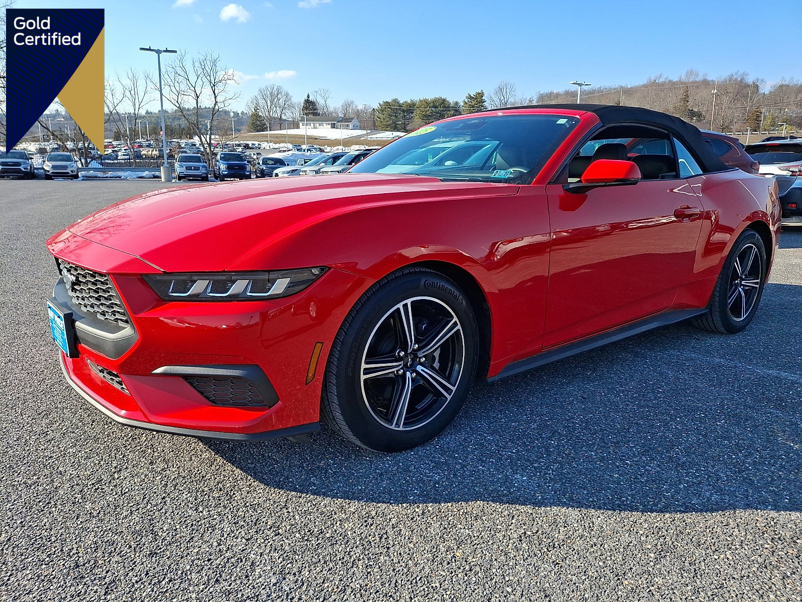 Certified 2025 Ford Mustang Premium image 1