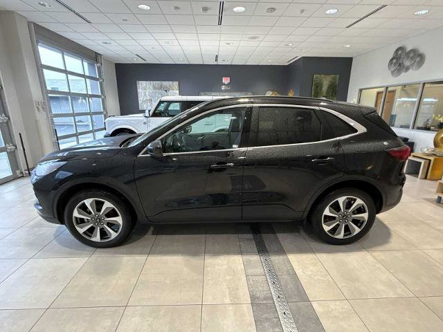 Certified 2025 Ford Escape Platinum image 2