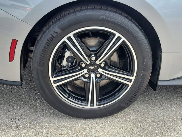 Certified 2024 Ford Mustang Premium image 9