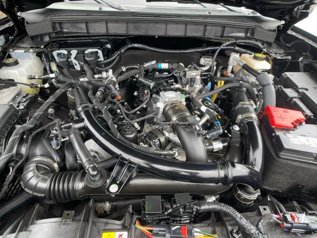 Certified 2024 Ford Bronco Wildtrak AWD/4WD image 13