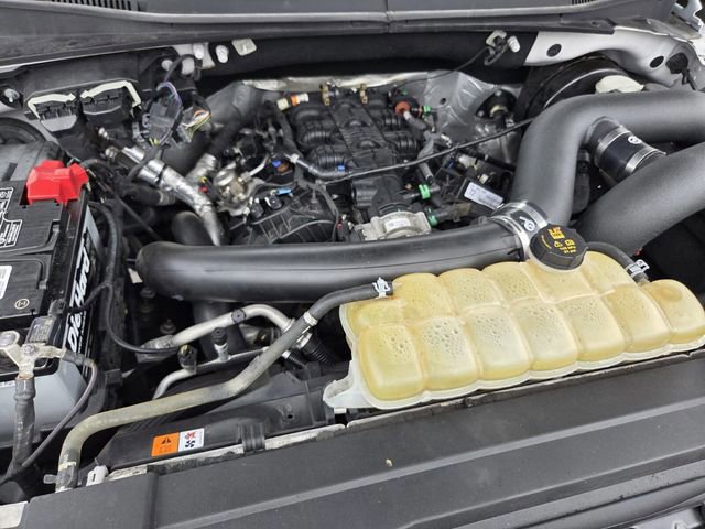 Certified 2019 Ford F150 Platinum image 19