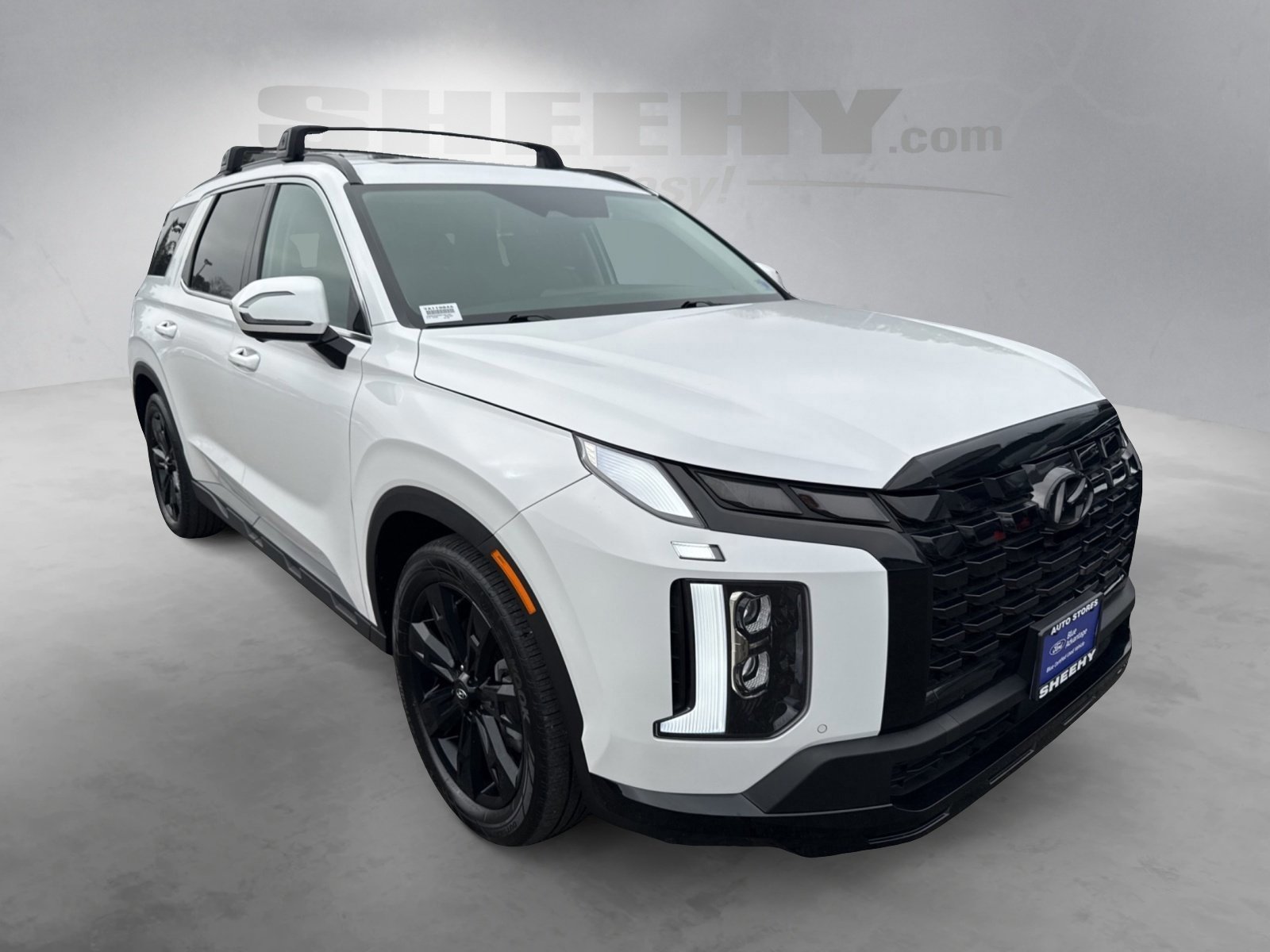 Used 2025 Hyundai Palisade XRT image 8