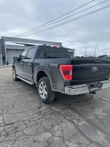 Certified 2023 Ford F150 XLT w/ Equipment Group 302A High image 3